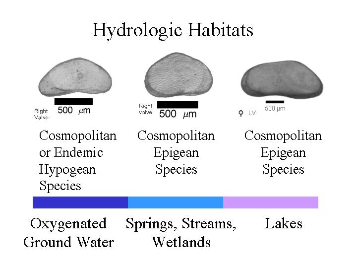 hydrohabitats