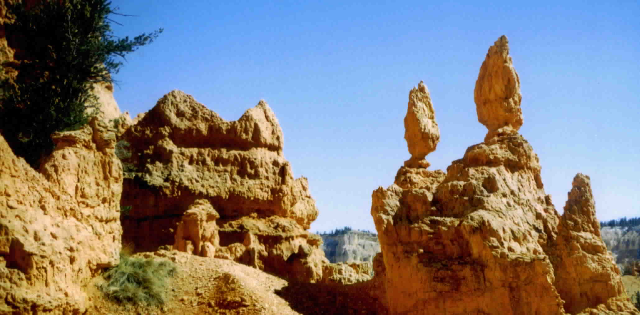 Hoodoos along the trail to
          Victoria's Garden, Bryce Canyon , UT