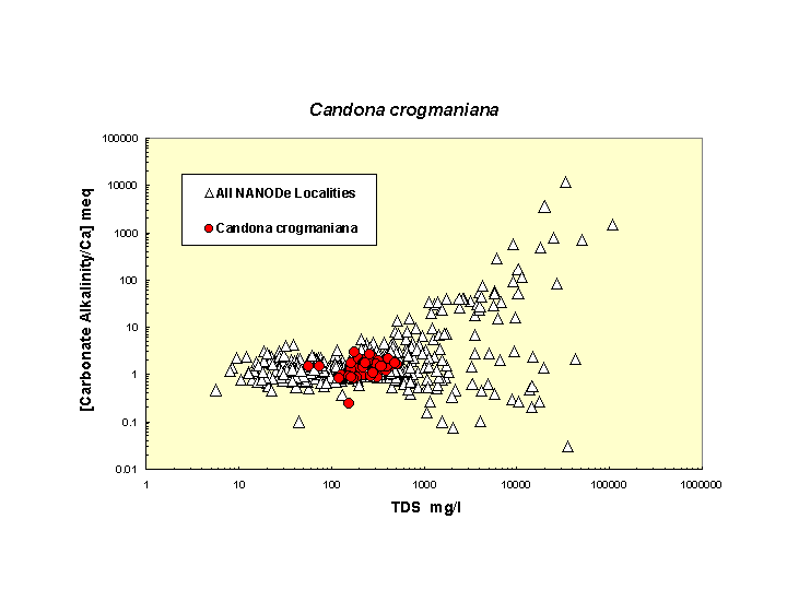 CcrogmanianaGraph