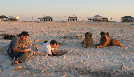 Nookie and Ruby look on as Monette Dalal and Andy measure sediment deposited by Hurricane Katrina at Dauphin Island, AL