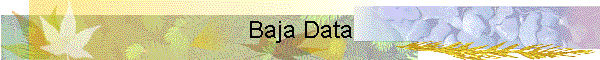 Baja Data
