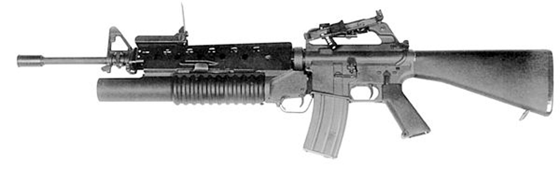   a2m   1 