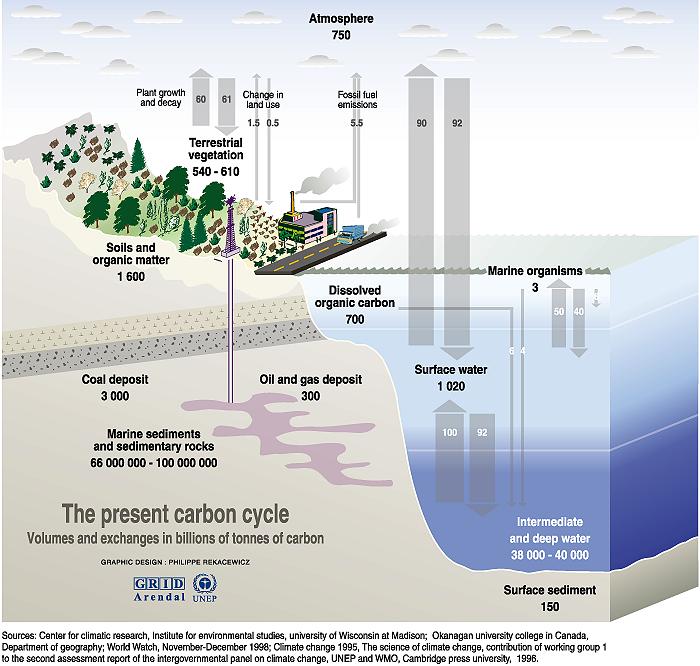 Earth's carbon cycle