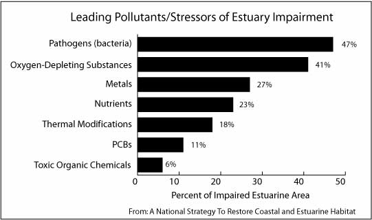 leading pollutants in estuaries