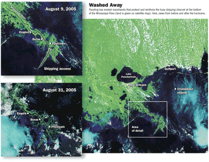 erosion of mississippi delta by Katrina