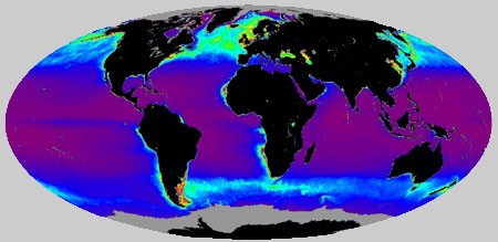 Map of oceanic primary productivity 