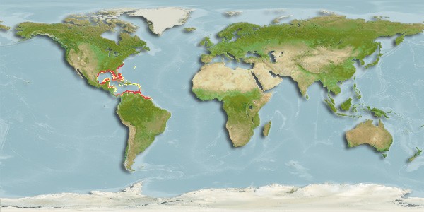 red snapper distribution map