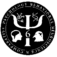 APA Division 6