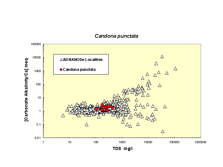 Scatter plot of Cpunctata distribution in solute space: total dissolved solids vs. bicarbonate-carbonate to calcium ratio