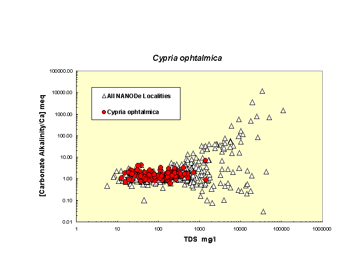 Scatter plot of Cypriaophtalmica distribution in solute space: total dissolved solids vs. bicarbonate-carbonate to calcium ratio