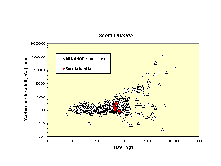 Scatter plot of Scottumida distribution in solute space: total dissolved solids vs. bicarbonate-carbonate to calcium ratio