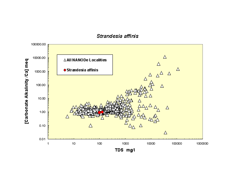 Scatter plot of Strandaffinis distribution in solute space: total dissolved solids vs. bicarbonate-carbonate to calcium ratio