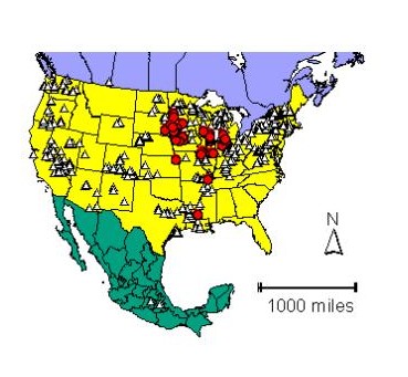 Distribution map showing presence and absence sites for Cacuta across North America