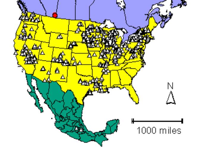 Distribution map showing presence and absence sites for Cacutula across North America