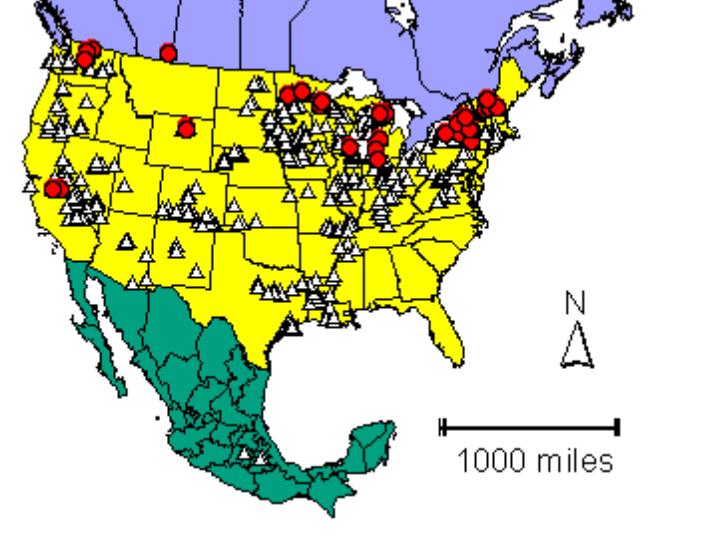 Distribution map showing presence and absence sites for Ccandida across North America