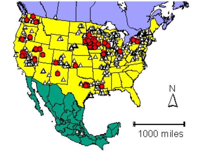 Distribution map showing presence and absence sites for Ccaudata across North America