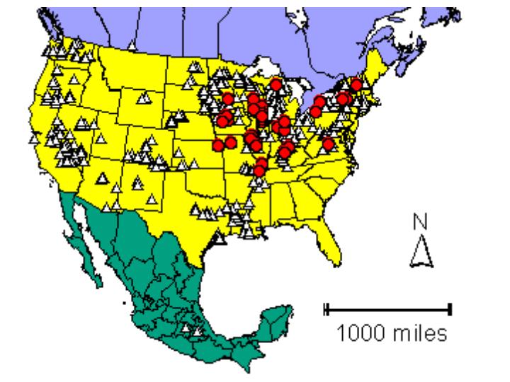 Distribution map showing presence and absence sites for Ccrogmaniana across North America