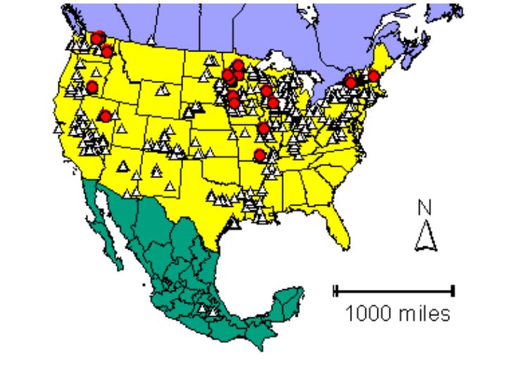 Distribution map showing presence and absence sites for Cdecora across North America