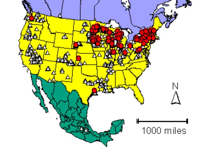 Distribution map showing presence and absence sites for Celliptica across North America
