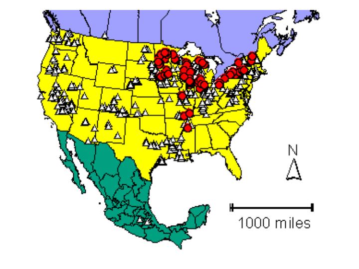 Distribution map showing presence and absence sites for Cohioensis across North America