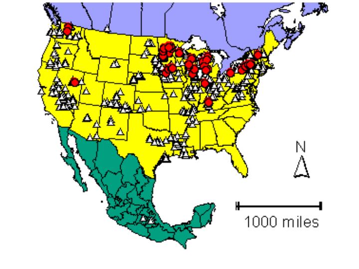 Distribution map showing presence and absence sites for Cparaohioensis across North America