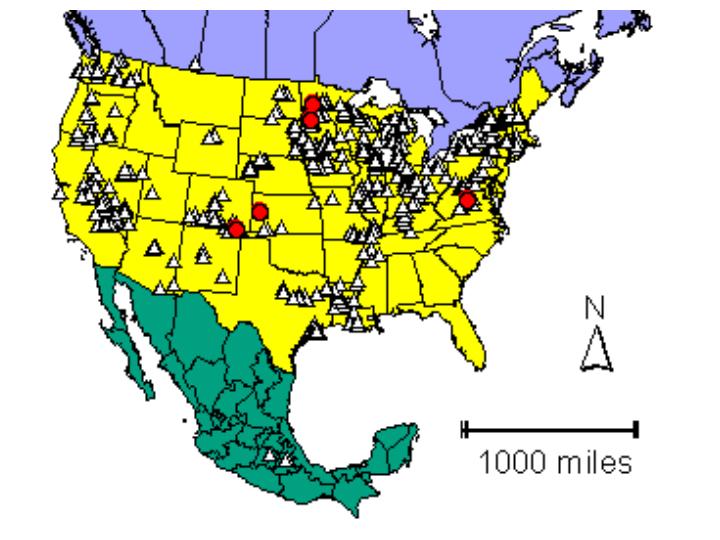 Distribution map showing presence and absence sites for Csigmoides across North America