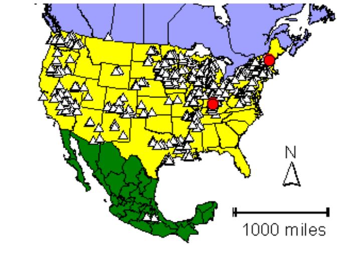 Distribution map showing presence and absence sites for Csuburbana across North America
