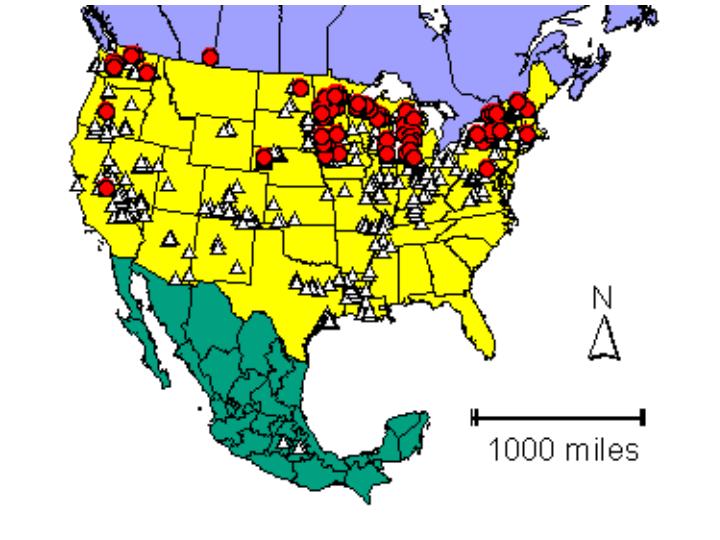Distribution map showing presence and absence sites for Cycampla across North America