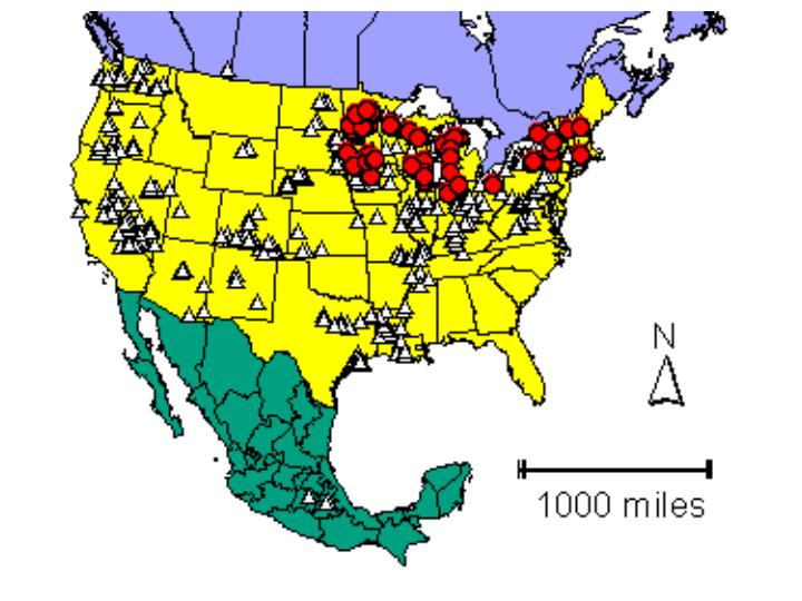 Distribution map showing presence and absence sites for Cyclaevis across North America