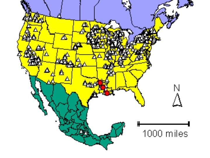 Distribution map showing presence and absence sites for Cytherilosvayi across North America
