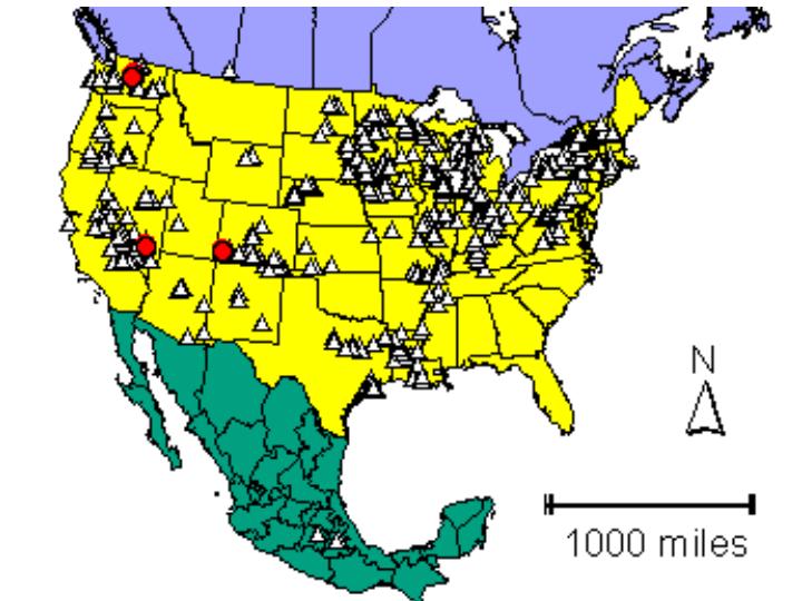 Distribution map showing presence and absence sites for Facuminata across North America