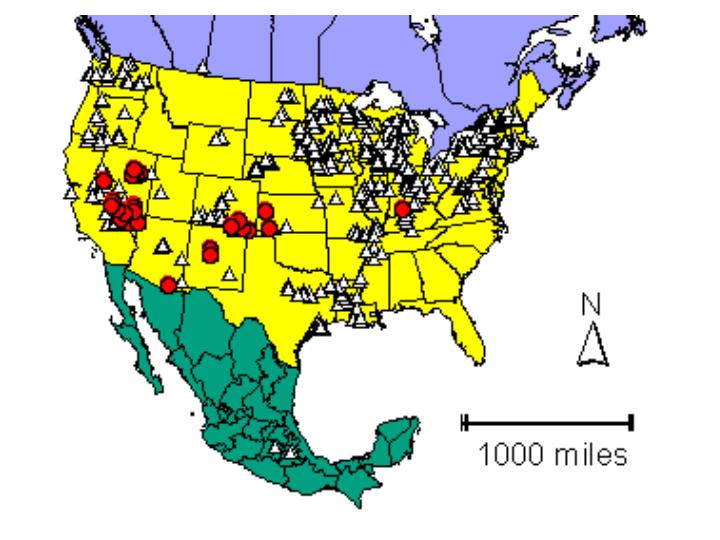 Distribution map showing presence and absence sites for Herpbrevicaudata across North America