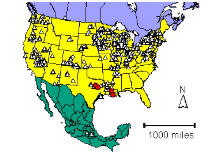 Distribution map showing presence and absence sites for Hetantilliensis across North America