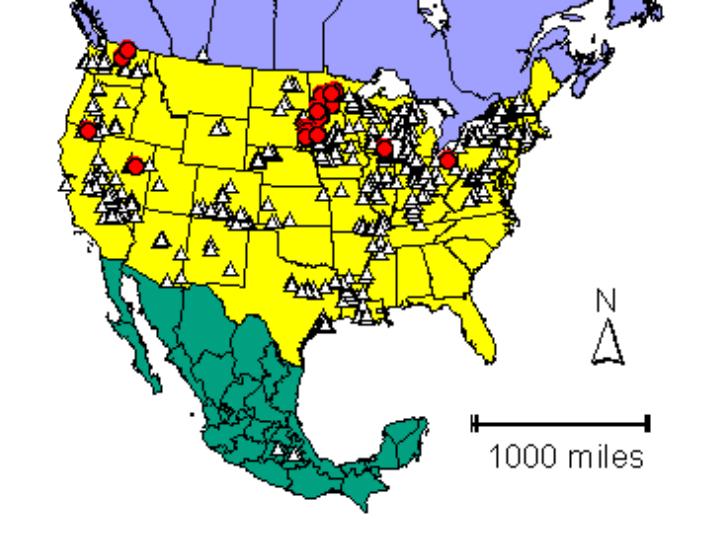 Distribution map showing presence and absence sites for Limitasca across North America