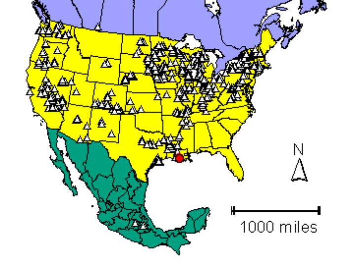 Distribution map showing presence and absence sites for Pantilliana across North America
