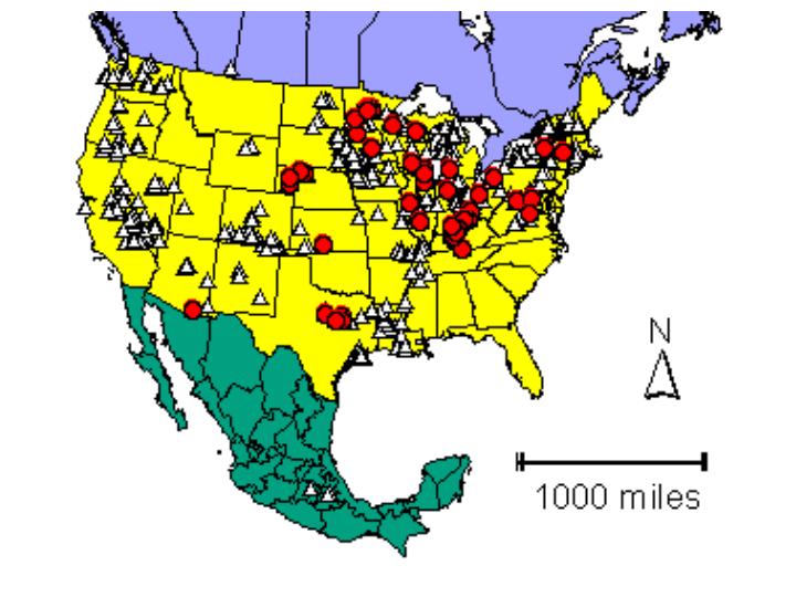 Distribution map showing presence and absence sites for Physpustulosa across North America