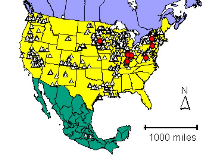 Distribution map showing presence and absence sites for Potpallida across North America
