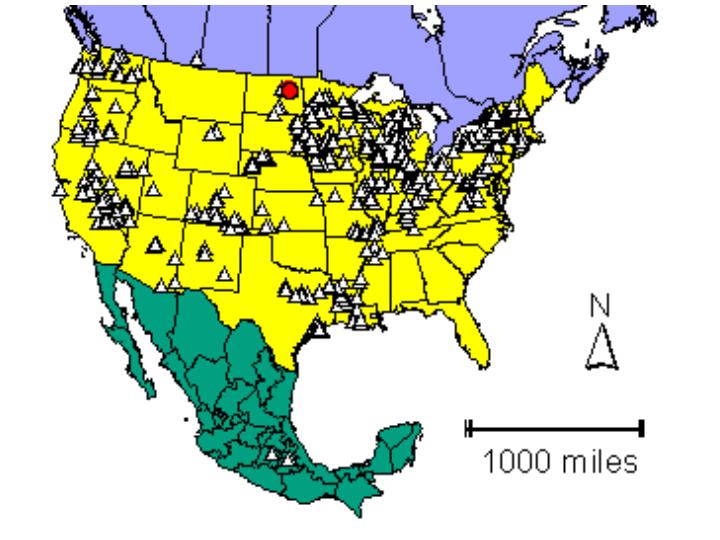 Distribution map showing presence and absence sites for Sarsaculeata across North America