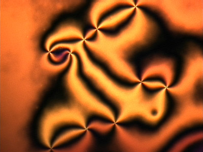 schlieren texture in negative nematic