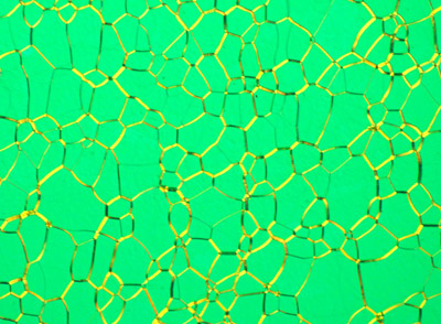 oily streaks