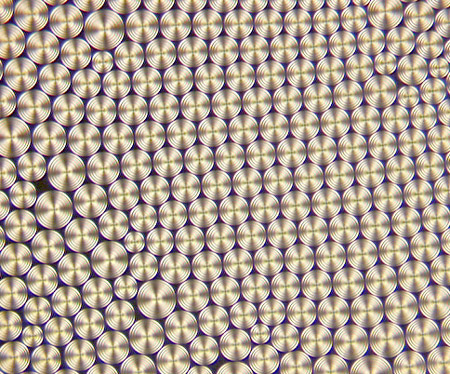 tfcd in smectic a