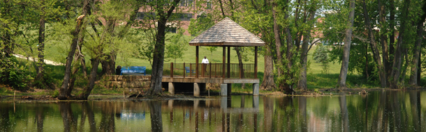 Kent State at Stark Pond