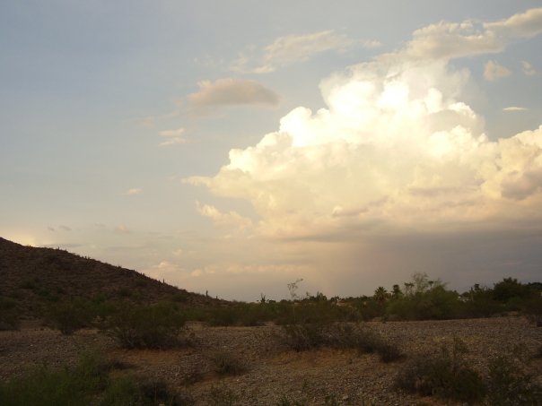 desert
