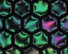Ionic liquid crystal elastomer
