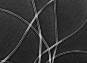 Responsive liquid crystal fiber