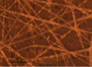 Responsive liquid crystal fiber