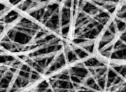 Electrospun liquid crystal fiber