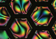 Biological sensing with liquid crystals
