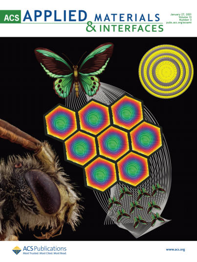 ACS Applied Materials & Interfaces cover, January 2021