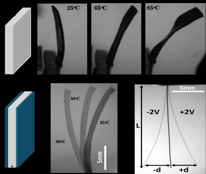 Energy storage and electrochemical devices